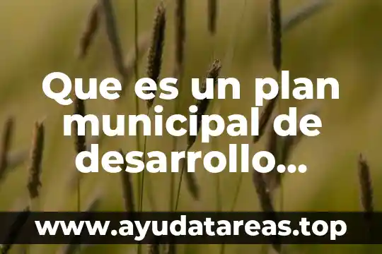 Que es un plan municipal de desarrollo urbano