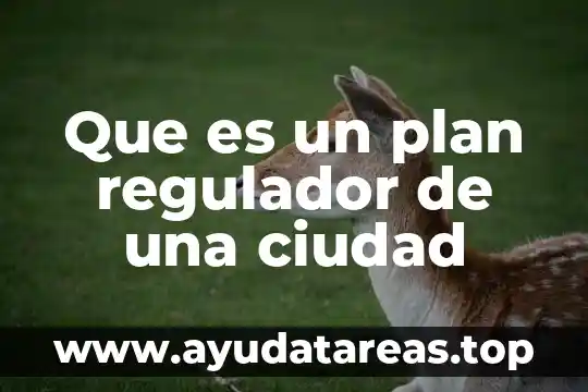 Que es un plan regulador de una ciudad