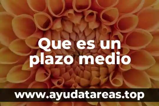Que es un plazo medio