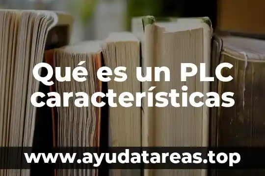 Que es autoconcepto y sus caracteristicas 6 Qué es un PLC características