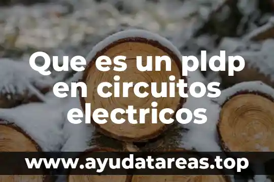 Que es un pldp en circuitos electricos