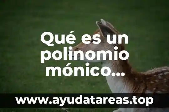 Qué es un polinomio mónico concepto