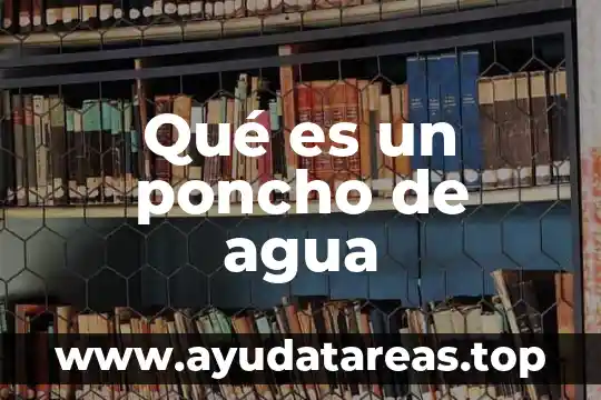 Para que es el agua de perejil 7 Qué es un poncho de agua