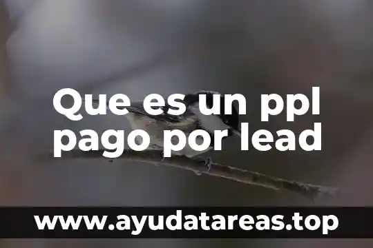 Para qué es indispensable el cloro en el agua 7 Que es un ppl pago por lead