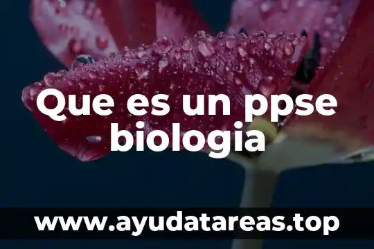 Qué es molécula anfipática biología 7 Que es un ppse biologia