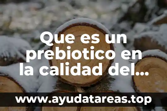 Que es numeracion de viñetas en word 8 Que es un prebiotico en la calidad del agua