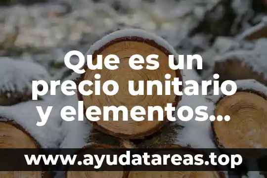 Que es un precio unitario y elementos que lo componen