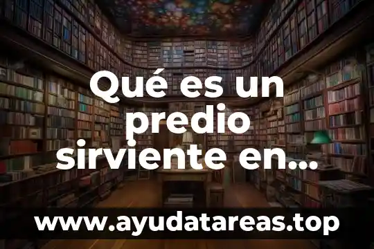 Que es el sapito en los niños 3 Qué es un predio sirviente en México