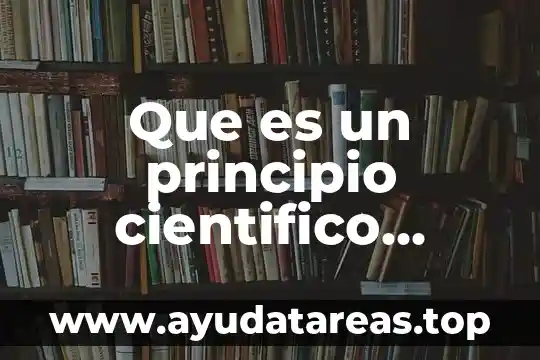 Que es un principio cientifico ejemplos