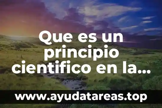 Que es el número de oxidación en quimica 6 Que es un principio cientifico en la química