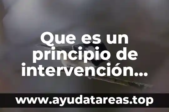 Por que es importante ralizar el servicio social 6 Que es un principio de intervención social