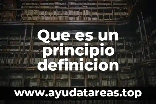 Que es niño y niña definición 4 Que es un principio definicion