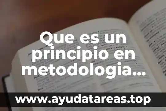 Que es enfermeria segun varios autores 4 Que es un principio en metodologia segun autores