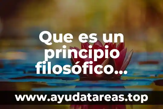 Para que es la rutina general 3 Que es un principio filosófico general