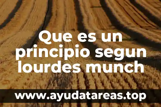 Que es un principio segun lourdes munch