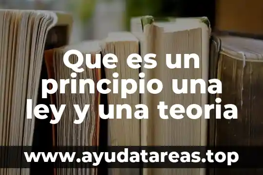 Que es un principio una ley y una teoria