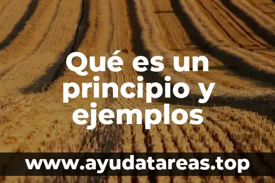 Qué es un principio y ejemplos