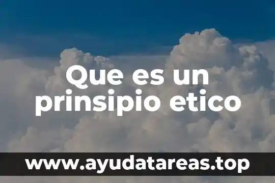 Que es el razonamiento etico y como se aplica 7 Que es un prinsipio etico