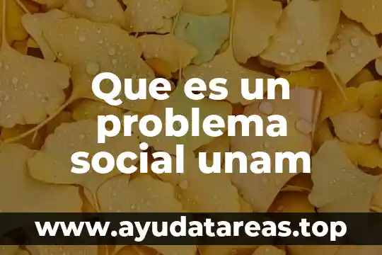 Que es capital social y u ejemplo 6 Que es un problema social unam
