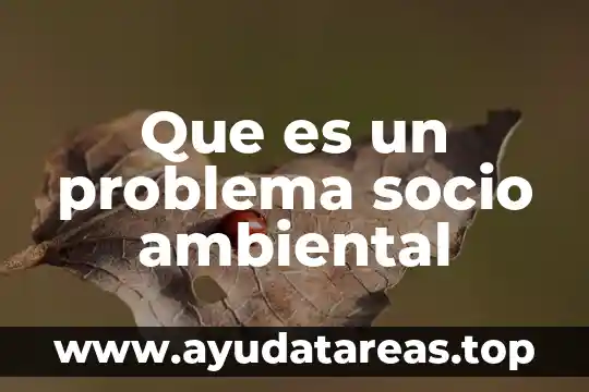 Que es un problema socio ambiental