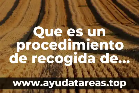 Que es un procedimiento de recogida de datos