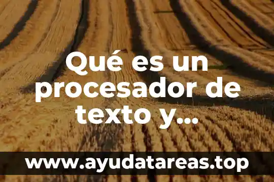 Qué es bandera de un procesador 6 Qué es un procesador de texto y características tiene