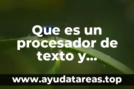 Que es un procesador de texto y cuantos existen