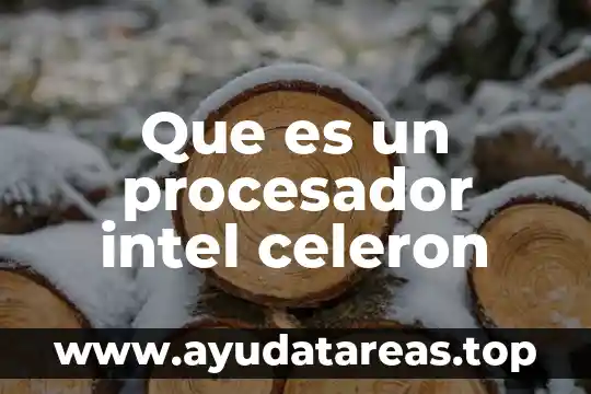 Que es procesador de texto tipos 7 Que es un procesador intel celeron