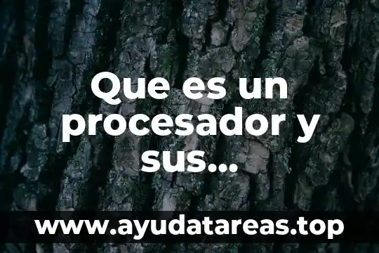 Qué es bandera de un procesador 3 Que es un procesador y sus caracteristicas