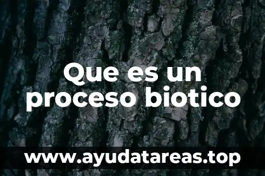 Que es proceso de pensamiento flexible 6 Que es un proceso biotico