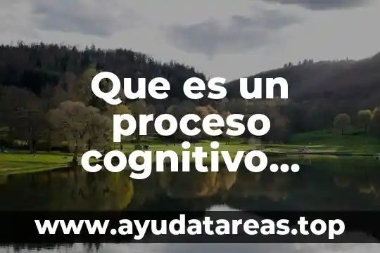 Que es un proceso cognitivo segun autores