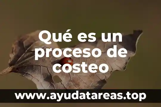 Que es proceso de pensamiento flexible 4 Qué es un proceso de costeo