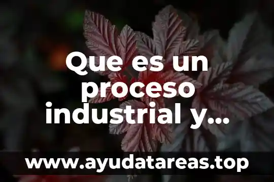 Que es un escrito cientifico menciona tres tipos y carac 7 Que es un proceso industrial y tres ejemplos