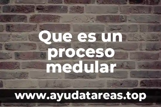 Que es el proceso de apropiacion 6 Que es un proceso medular