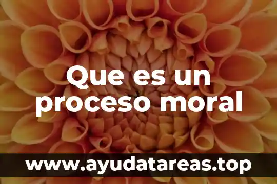 Que es un proceso moral
