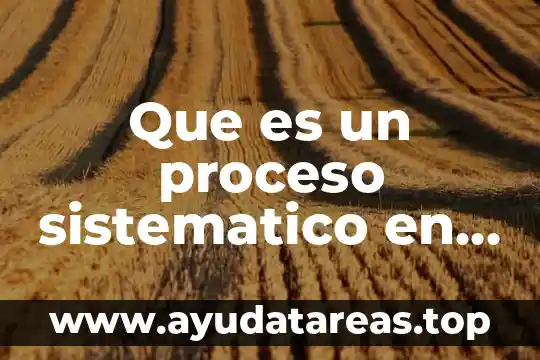 Que es un proceso sistematico en auditoria