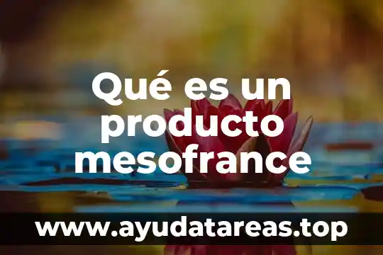 Qué es un producto mesofrance