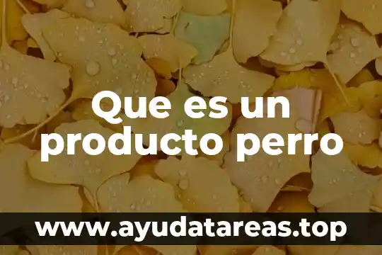 Que es mejor un perro macho o hembra 5 Que es un producto perro