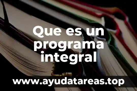 Que es un programa integral