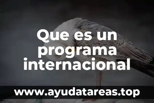 Que es un programa internacional