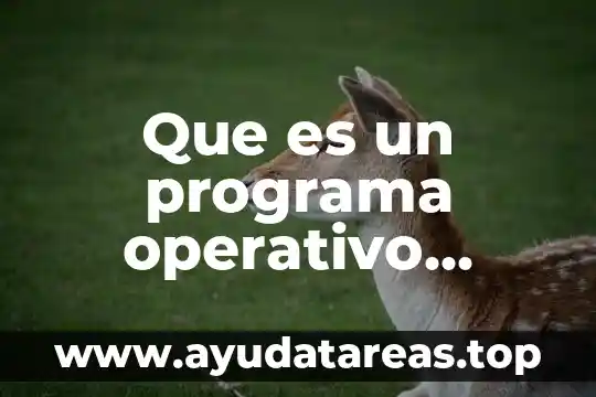 Que es el programa sentinel protection installer 5 Que es un programa operativo definición