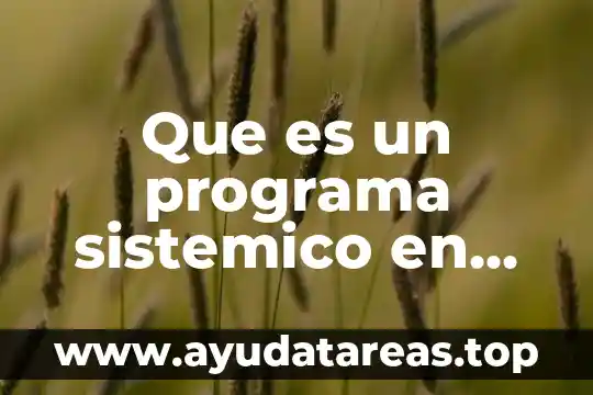 Por que es importante el pensamiento sistémico 8 Que es un programa sistemico en educacion