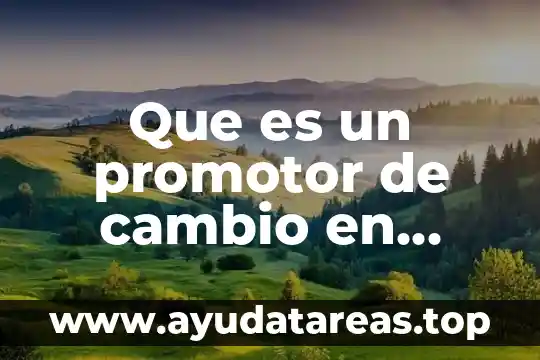 Que es cambio de sistema vac y escarectomia 4 Que es un promotor de cambio en administracion