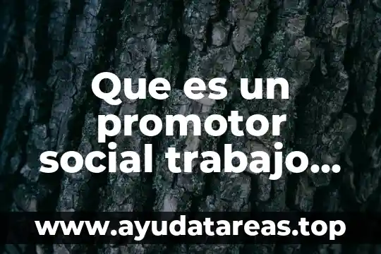 Que es un promotor social trabajo social