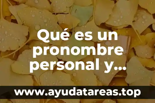 Que es una suma de fracciones cuales tipos hay 5 Qué es un pronombre personal y cuáles son