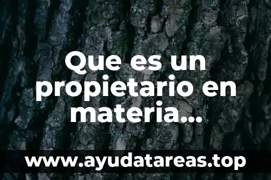 Que es el color en la materia 5 Que es un propietario en materia aduanera