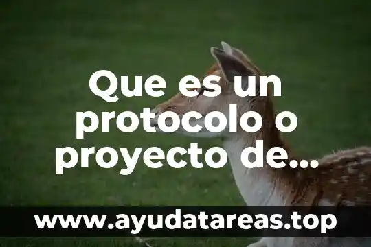 Que es un protocolo o proyecto de investigacion