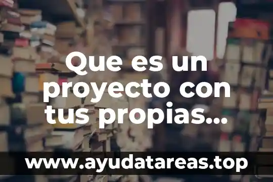 Que es un proyecto con tus propias palabras