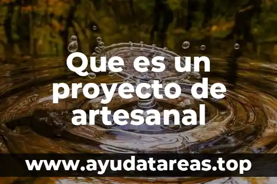 Que es un proyecto de artesanal