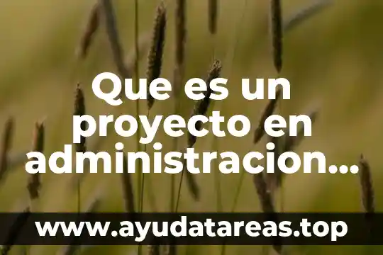 Que es un proyecto en administracion de operaciones